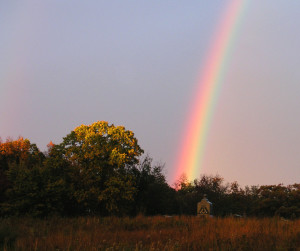 cropped-Rainbow_WF.jpg
